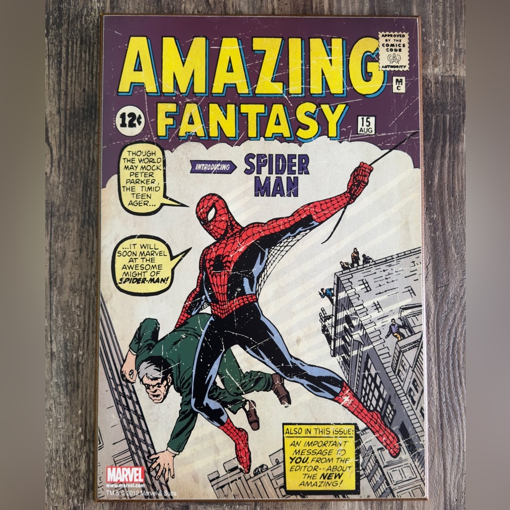 The Amazing Spider Man Marvel Comics Wooden Wall Art